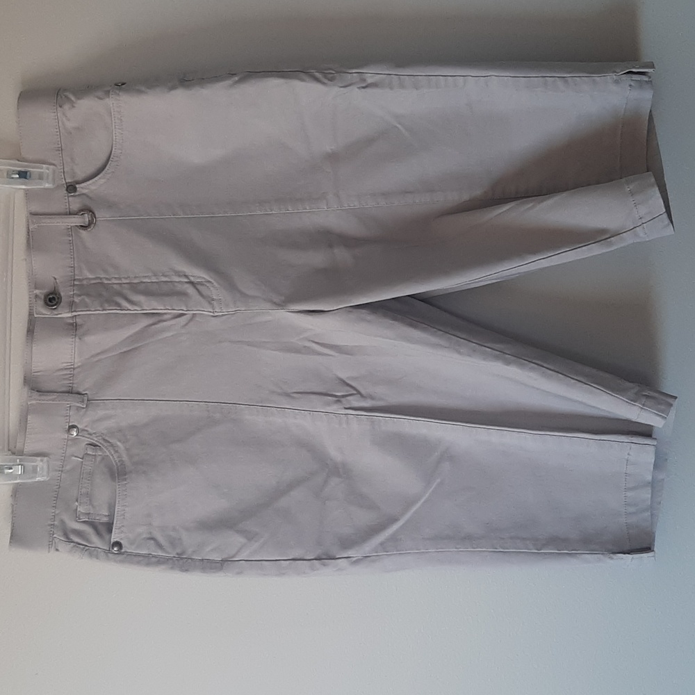 Simon Chang Shorts ~ Size 14